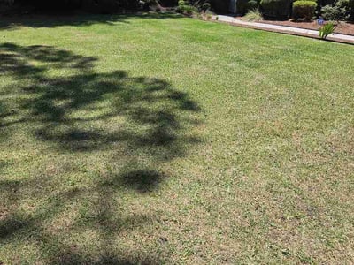 Lawn Care service in Macon, 31201
