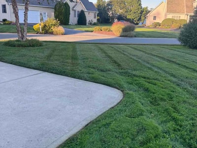 Lawn Care service in ,