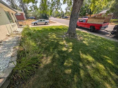 Lawn Care service in Groton, 06340