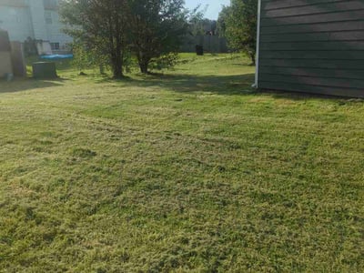 Lawn Care service in Bay Shore, 11706