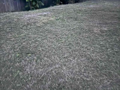 Lawn Care service in Panama City, 32401