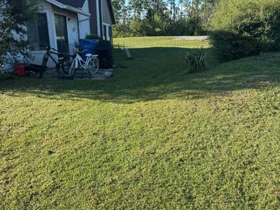 Lawn Care service in Panama City, 32401