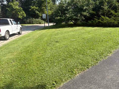 Lawn Care service in Cape May, 08204