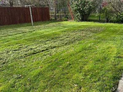 Lawn Care service in San Ramon, 94583