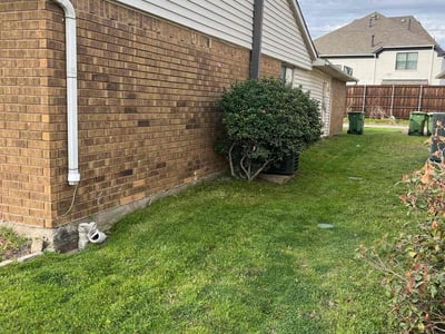 Lawn Care service in East Elmhurst, 11369