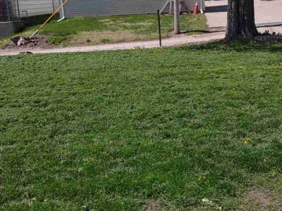 Lawn Care service in East Hampton, 11937