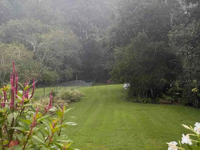 Lawn Care service in South Richmond Hill, 11419
