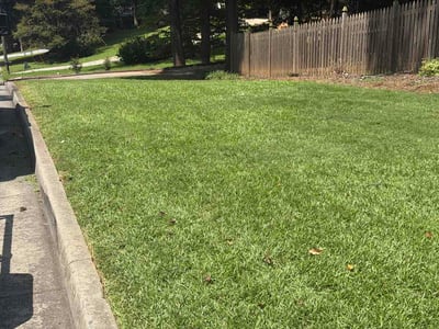 Lawn Care service in South Richmond Hill, 11419