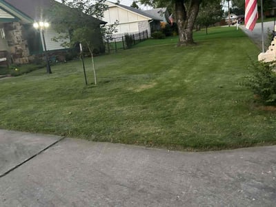 Lawn Care service in Fresh Meadows, 11366
