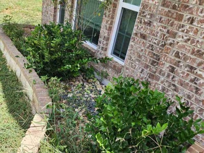 Lawn Care service in Killeen, 76541