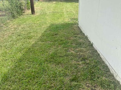 Lawn Care service in Killeen, 76541