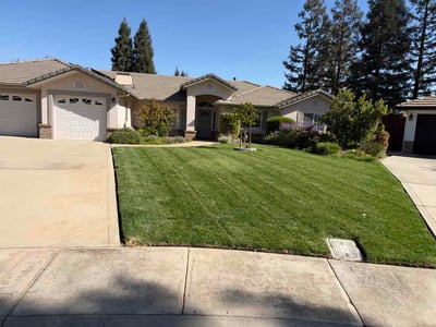 Lawn Care service in Merced, 95340