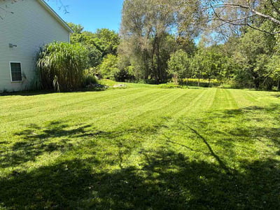 Lawn Care service in Elmhurst, 11373