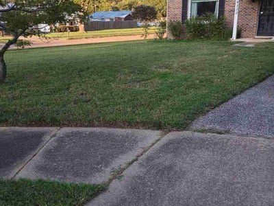 Lawn Care service in Johnson City, 37604