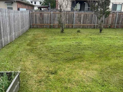 Lawn Care service in Spicewood, 78669