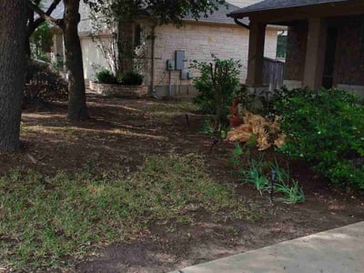 Lawn Care service in Spicewood, 78669