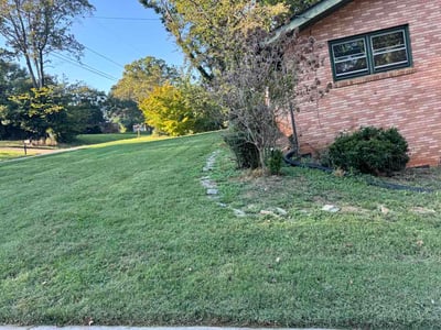 Lawn Care service in Lenoir, 28645