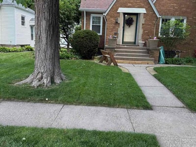 Lawn Care service in East Moline, 61244