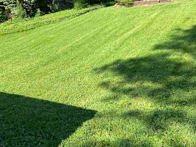 Lawn Care service in Norwalk, 06851