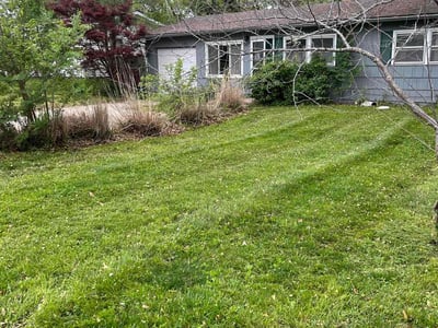 Lawn Care service in Darien, 06820