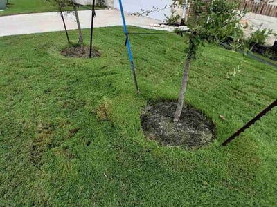 Lawn Care service in College Station, 77840