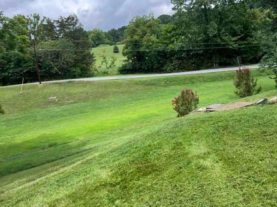 Lawn Care service in Rogersville, 37857