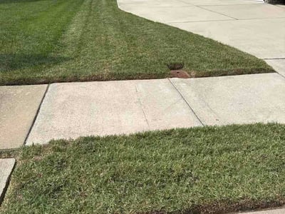 Lawn Care service in Bristol, 37620