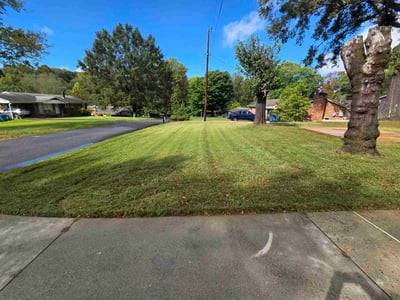 Lawn Care service in Morganton, 28655