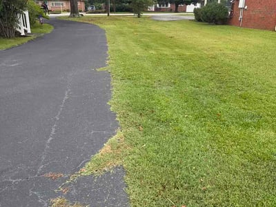 Lawn Care service in Darlington, 29532
