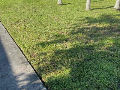 Lawn Care service in Jersey City, 07302