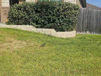Lawn Care service in Belton, 76513