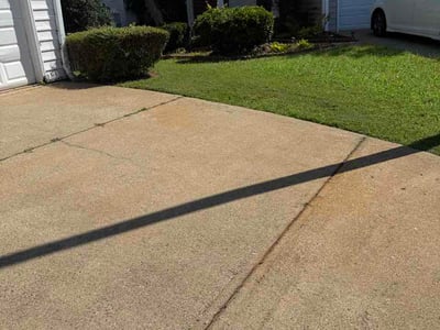 Lawn Care service in Paterson, 07505
