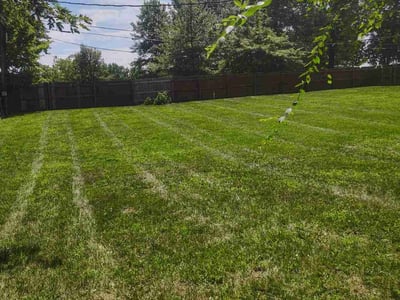 Lawn Care service in Paterson, 07505