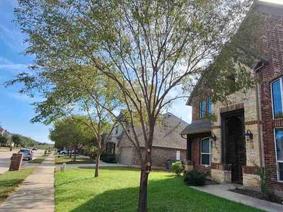 Lawn Care service in Little Elm, 75068