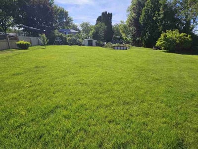 Lawn Care service in Boise, 83702