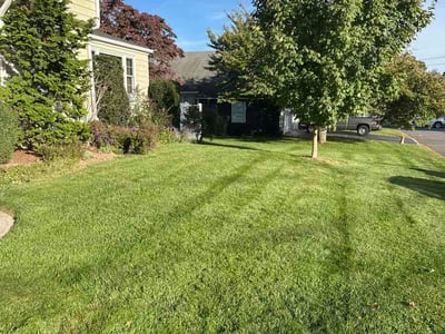 Lawn Care service in Shelton, 06484