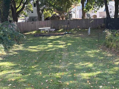 Lawn Care service in Clinton, 06413