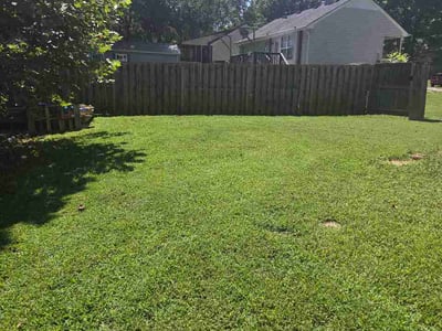 Lawn Care service in Pleasant View, 37146