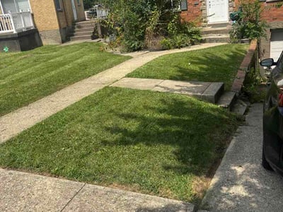 Lawn Care service in Saint Albans, 25177