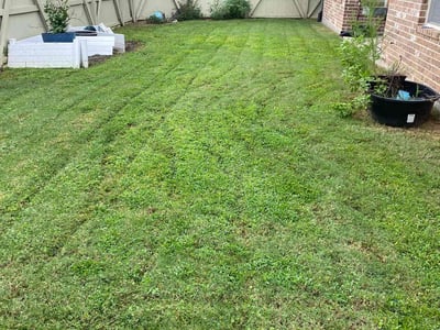 Lawn Care service in Shelton, 06484
