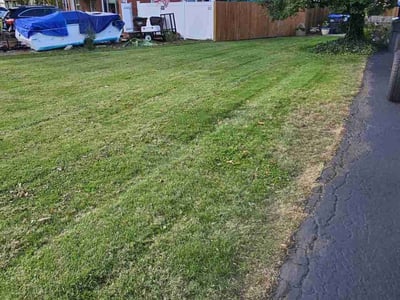 Lawn Care service in Saint Albans, 25177