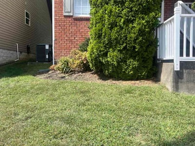 Lawn Care service in Pleasant View, 37146