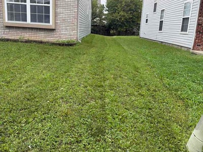 Lawn Care service in West Lafayette, 47906