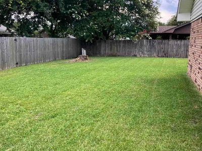 Lawn Care service in Biloxi, 39530