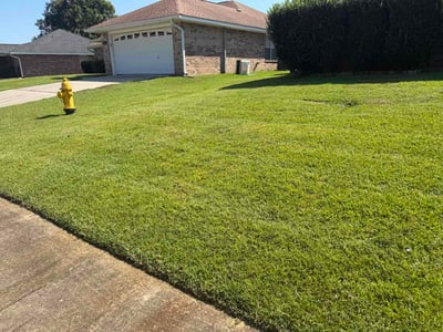 Lawn Care service in Moss Point, 39563