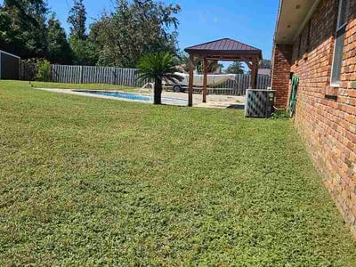 Lawn Care service in Miramar Beach, 32550