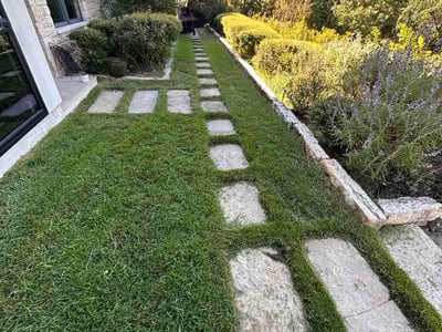 Lawn Care service in Del Valle, 78617