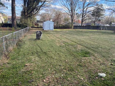 Lawn Care service in Stamford, 06901