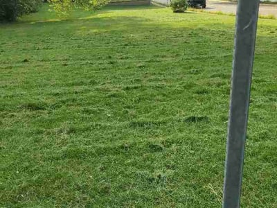 Lawn Care service in Champaign, 61820