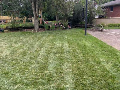 Lawn Care service in Delaware, 43015